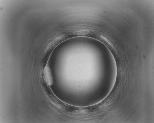 X0000062170307200512121247