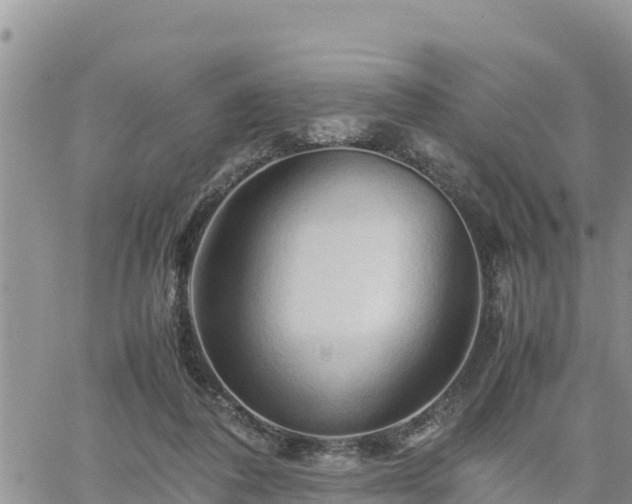 X0000062170308200512121247