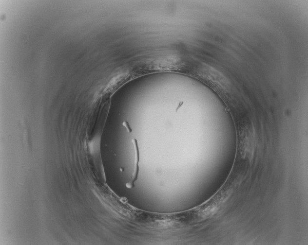 X0000062170310200512121247