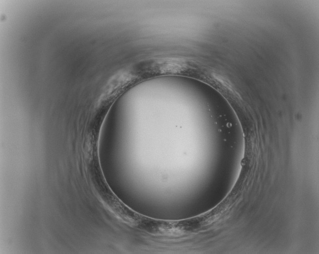 X0000062170311200512121247