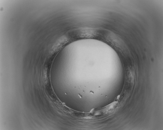 X0000062170312200512121247