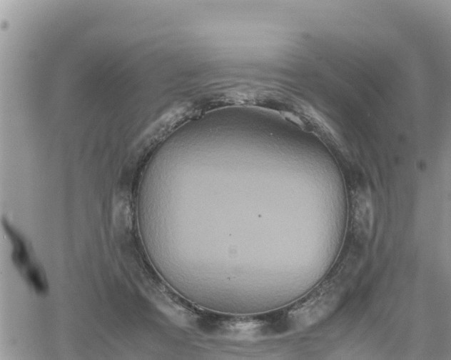 X0000062170313200512121247