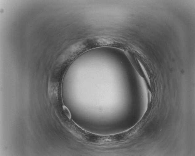 X0000062170315200512121247