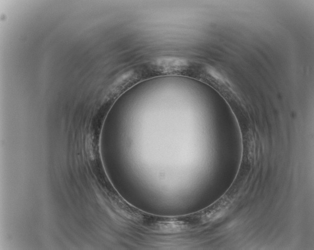 X0000062170316200512121247