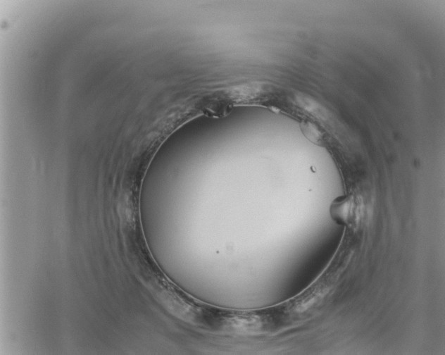 X0000062170317200512121247