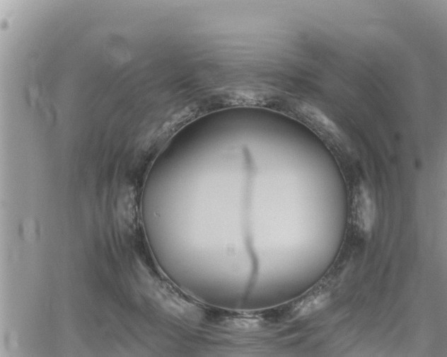 X0000062170318200512121247