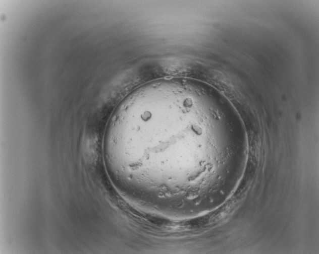 X0000062170319200512121247