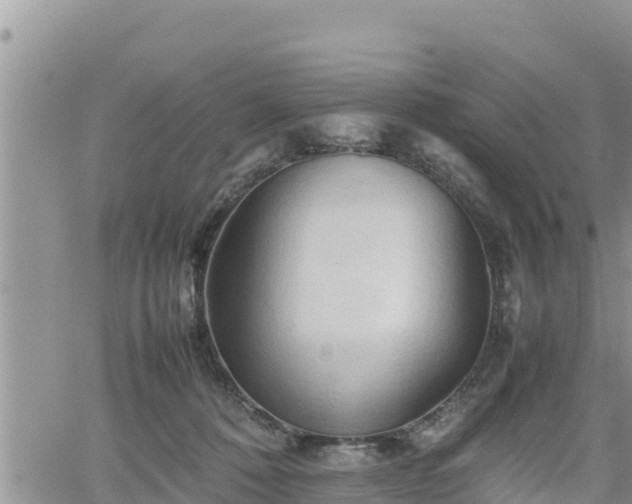 X0000062170320200512121247