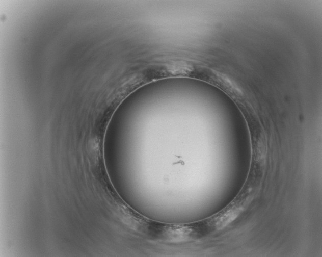 X0000062170321200512121247