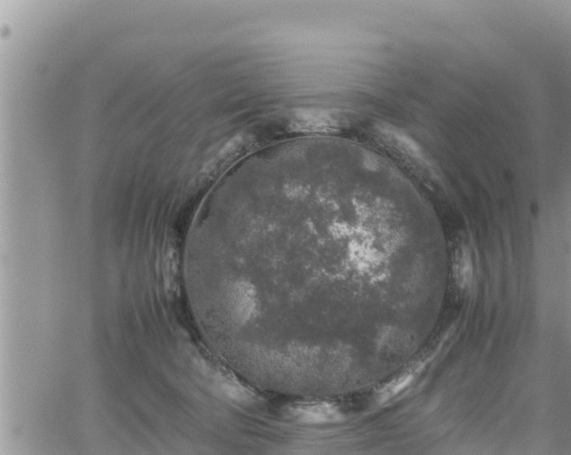 X0000062170322200512121247