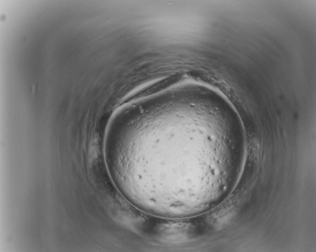 X0000062170323200512121247