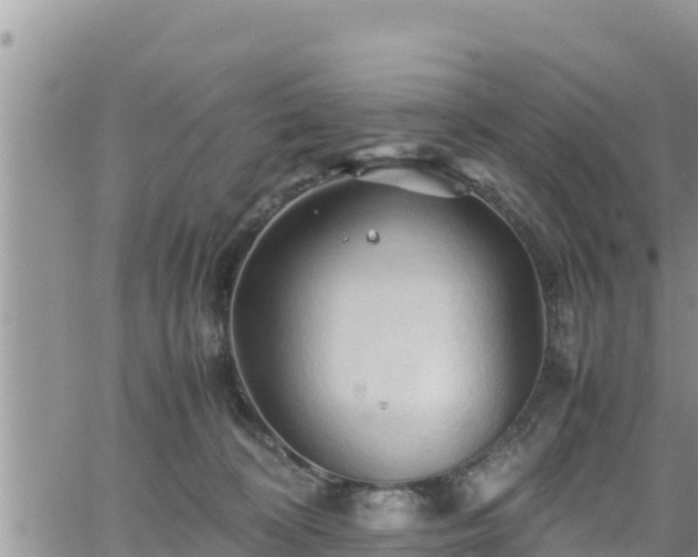 X0000062170324200512121247