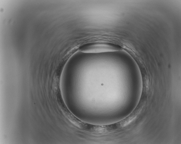 X0000062170325200512121247