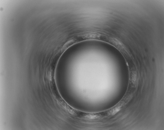 X0000062170326200512121247