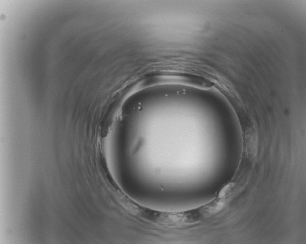 X0000062170329200512121247