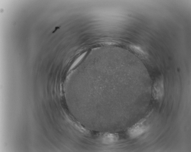 X0000062170330200512121247