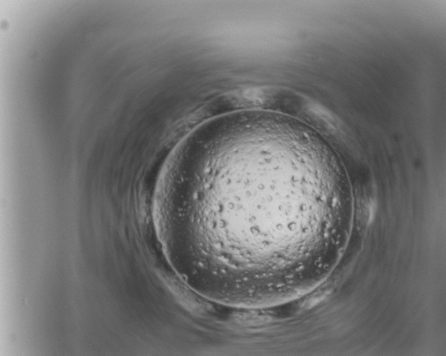 X0000062170331200512121247