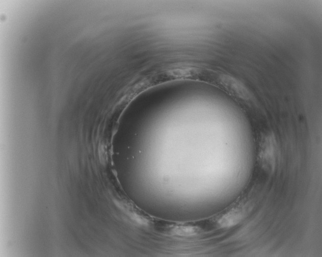 X0000062170332200512121247