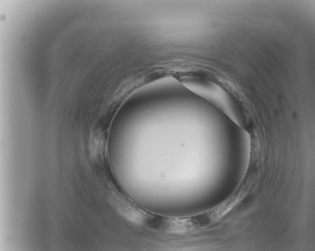 X0000062170333200512121247