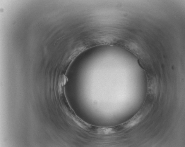 X0000062170334200512121247