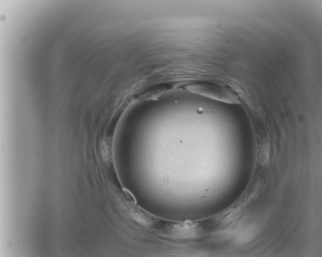 X0000062170335200512121247