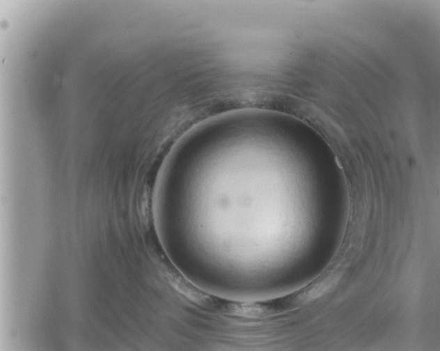 X0000062170336200512121247