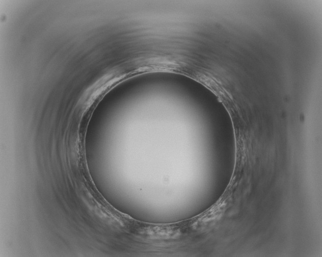 X0000062170338200512121246