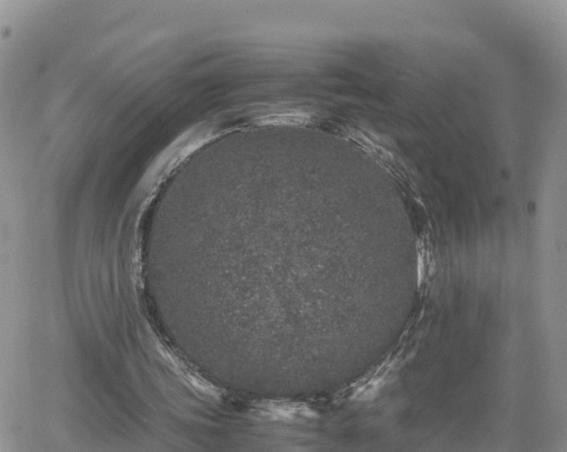 X0000062170339200512121246