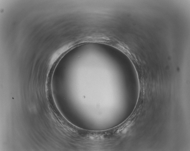 X0000062170340200512121246