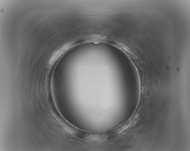 X0000062170341200512121246