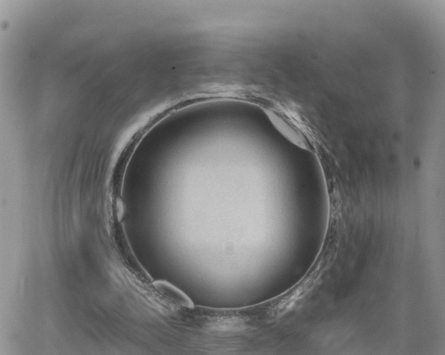 X0000062170342200512121246