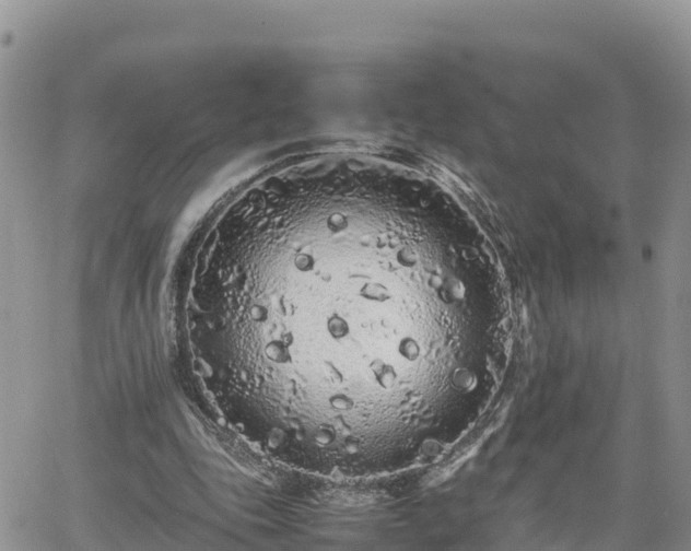 X0000062170343200512121246