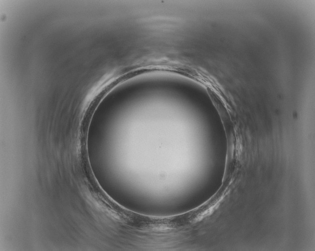 X0000062170344200512121246