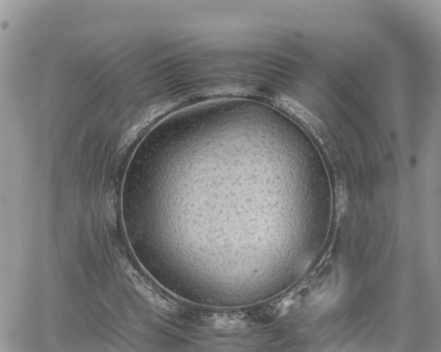 X0000062170345200512121246