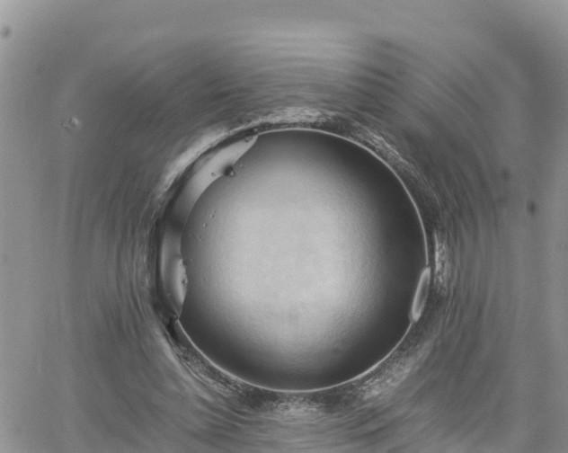 X0000062170348200512121246