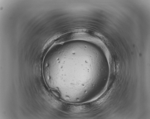 X0000062170349200512121246