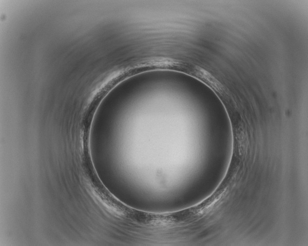 X0000062170350200512121246