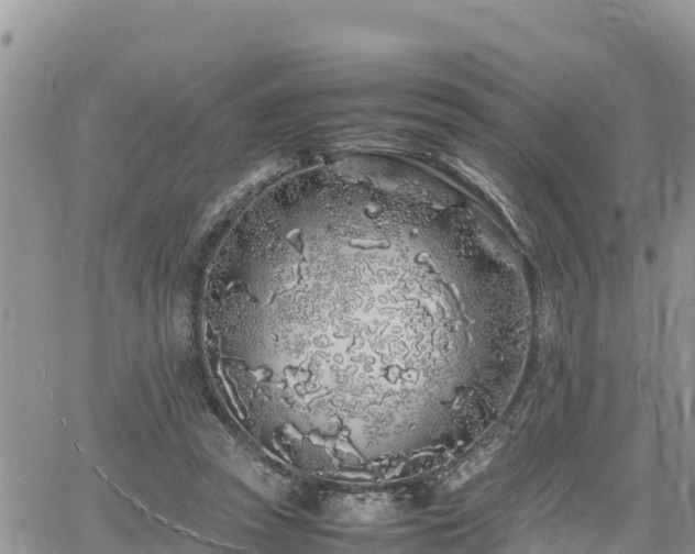 X0000062170353200512121246