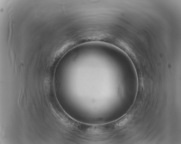 X0000062170354200512121246