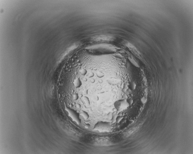 X0000062170355200512121246