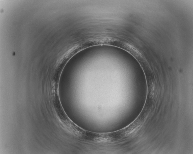 X0000062170356200512121246