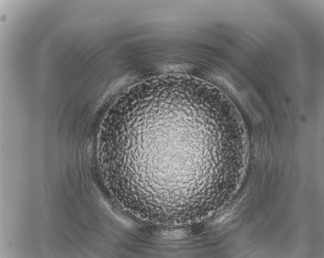 X0000062170357200512121246