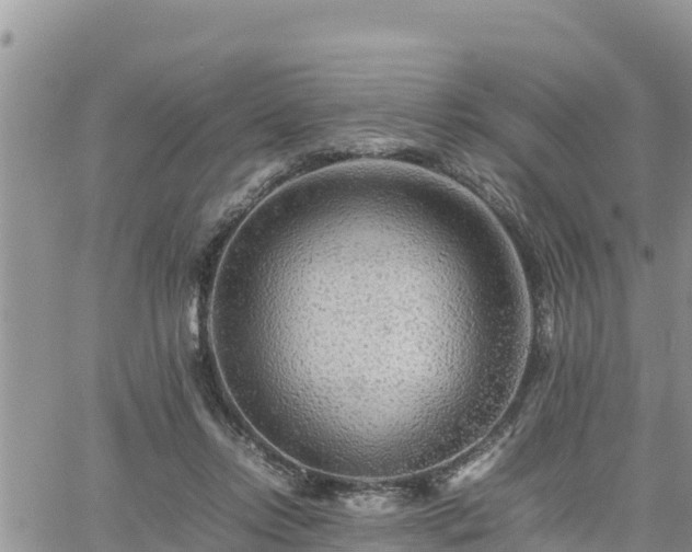 X0000062170358200512121246