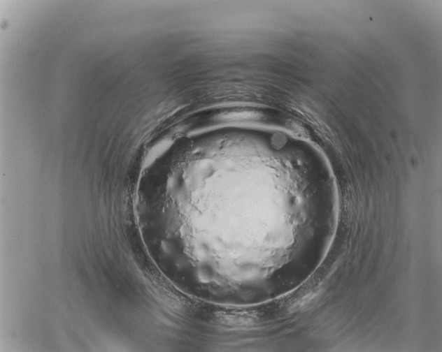 X0000062170359200512121246