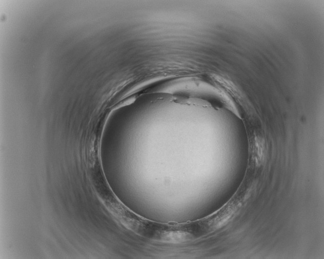 X0000062170360200512121246