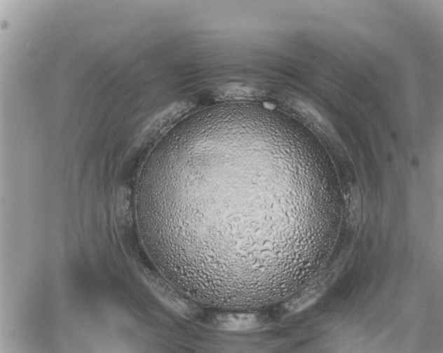 X0000062170361200512121246