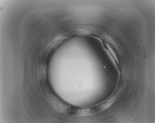 X0000062170362200512121246