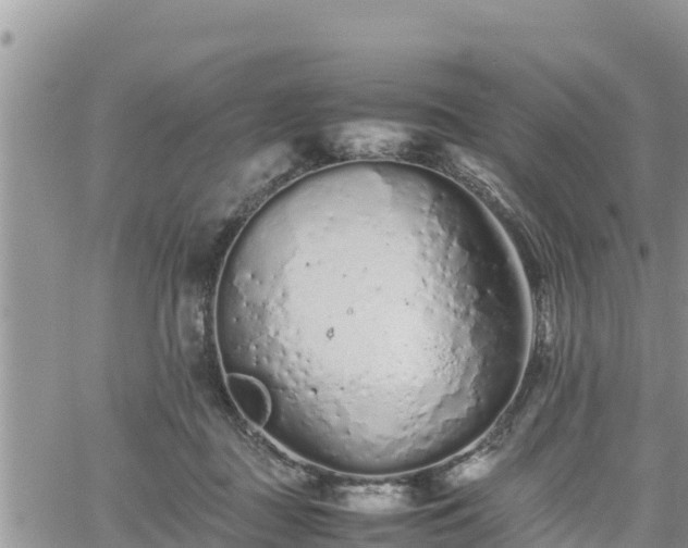 X0000062170363200512121246