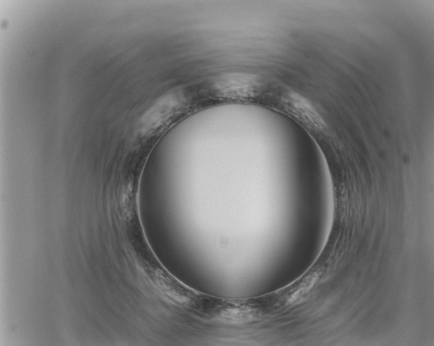 X0000062170364200512121246