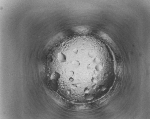 X0000062170365200512121246